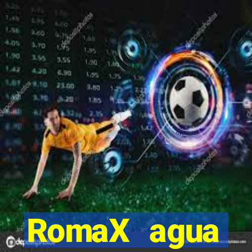 RomaX agua sanitaria fispq agua sanitaria romax